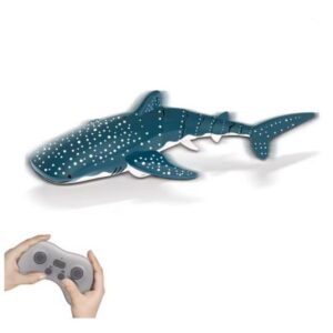 Requin-Baleine RC