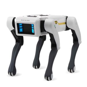 Robot Chien RC