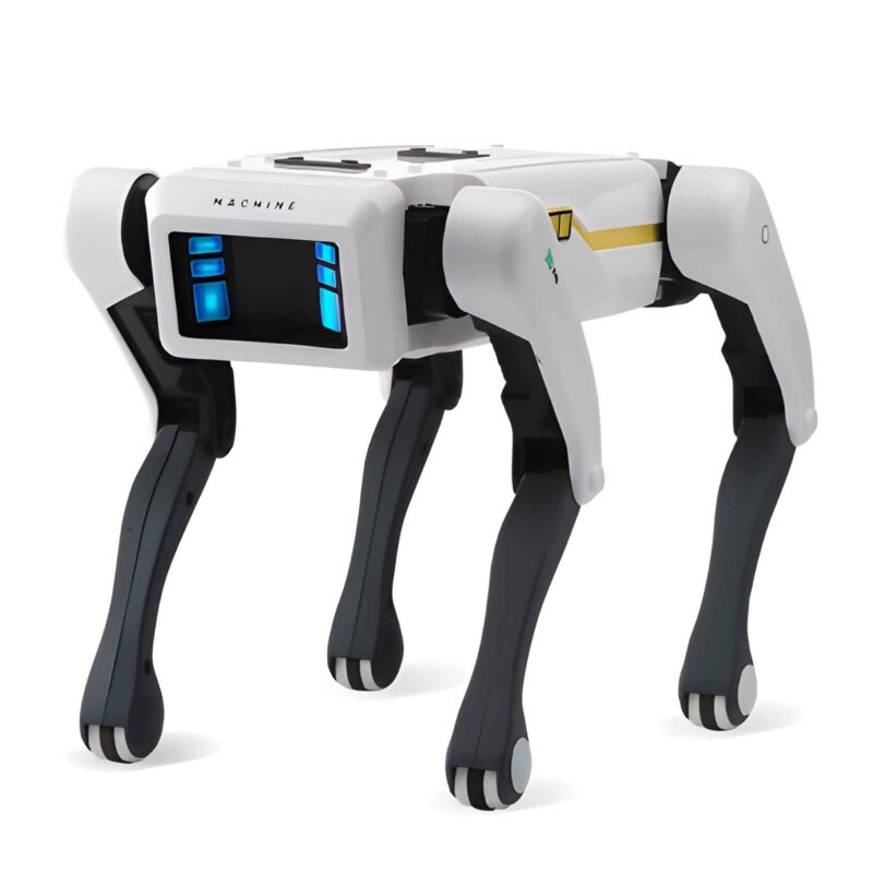 Robot Chien RC | RC Bolides